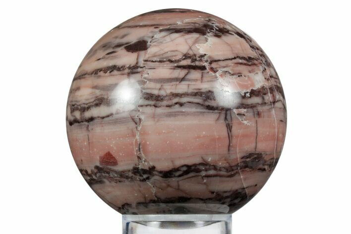 Polished Kona Dolomite (Stromatolite) Sphere - Michigan #354345